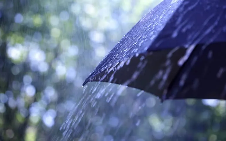Umbrella in the rain on a dark street